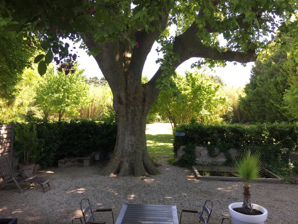 مبيت وإفطار LʼIsle-sur-la-Sorgue Montjoia المظهر الخارجي الصورة