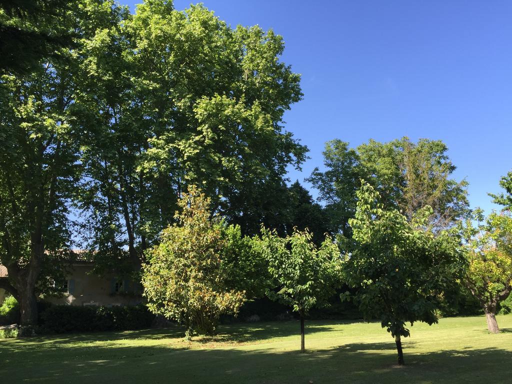 مبيت وإفطار LʼIsle-sur-la-Sorgue Montjoia المظهر الخارجي الصورة